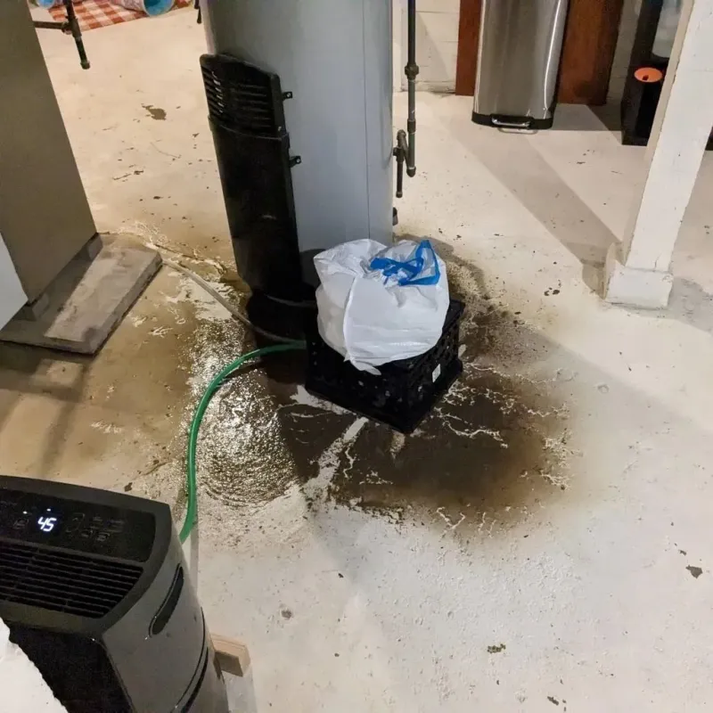 Sewage Backup Cleanup Service in Whitehall Township, PA